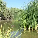Delta Σπίτι διακοπών L'Eucaliptus