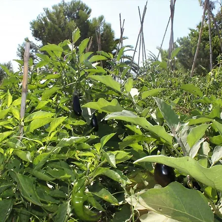 Сasa de vacaciones Vila Delta *