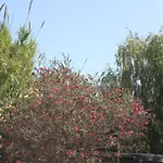 Σπίτι διακοπών Delta L'Eucaliptus