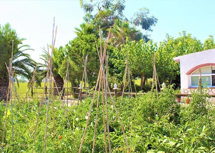 Vila Delta *