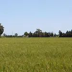 Delta Hébergement de vacances L'Eucaliptus