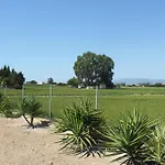 Delta L'Eucaliptus