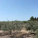Delta * L'Eucaliptus