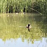 Hébergement de vacances Delta *