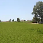 Hébergement de vacances Delta L'Eucaliptus